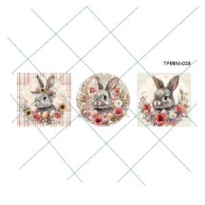 Transfer color - 10x20cms TPMINI-039