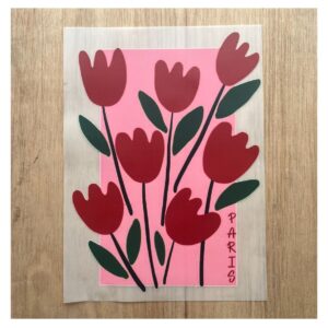 Transfer color - 20x25cms Edicion Especial