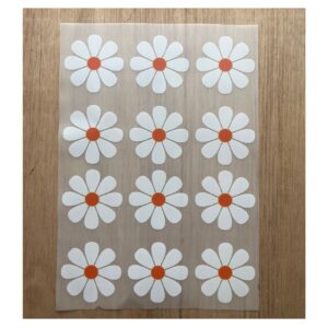 Transfer color - 20x25cms Edicion Especial