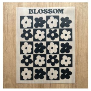 Transfer color - 20x25cms Edicion Especial