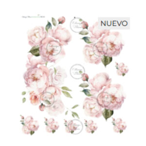 Transfer color - 30x33cms Estampa Felicce GG-13