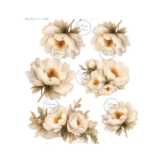 Transfer Color - 30x33cms Estampa Felicce GG-15