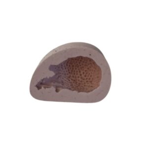 Molde de Silicona Puercoespin 2cms x 4cms M20